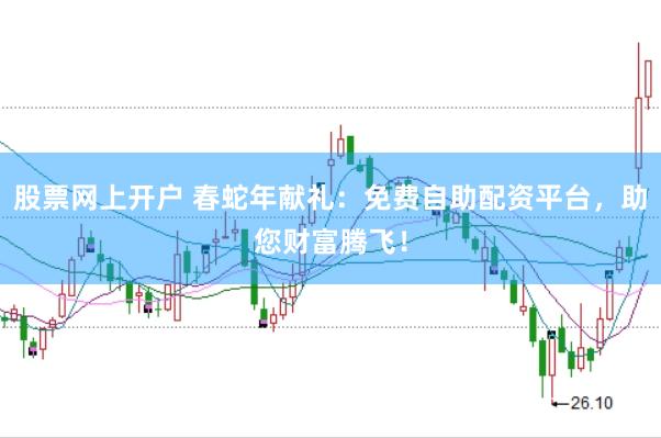 股票网上开户 春蛇年献礼：免费自助配资平台，助您财富腾飞！