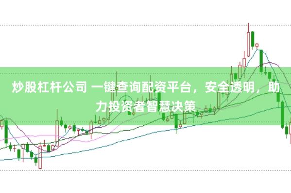 炒股杠杆公司 一键查询配资平台，安全透明，助力投资者智慧决策