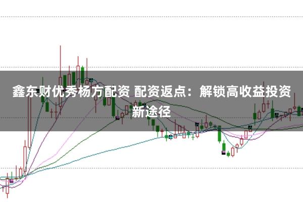 鑫东财优秀杨方配资 配资返点：解锁高收益投资新途径