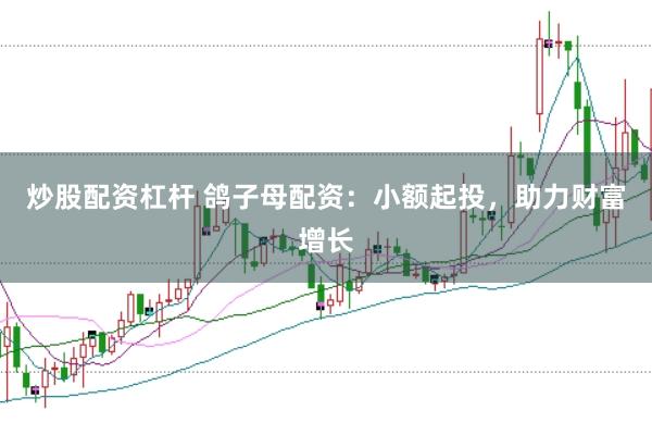 炒股配资杠杆 鸽子母配资：小额起投，助力财富增长