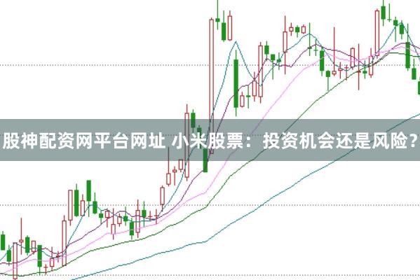 股神配资网平台网址 小米股票：投资机会还是风险？