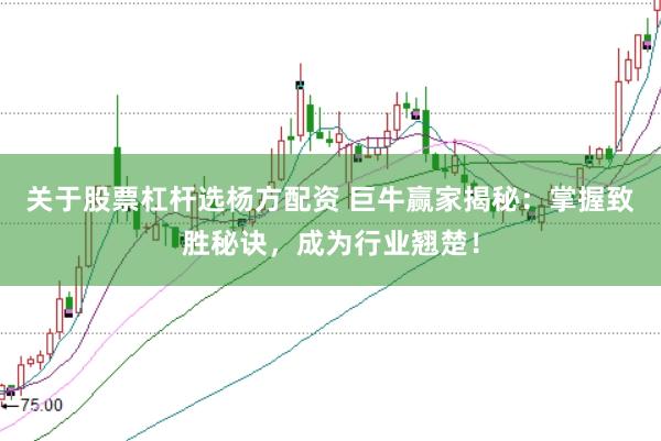 关于股票杠杆选杨方配资 巨牛赢家揭秘：掌握致胜秘诀，成为行业翘楚！
