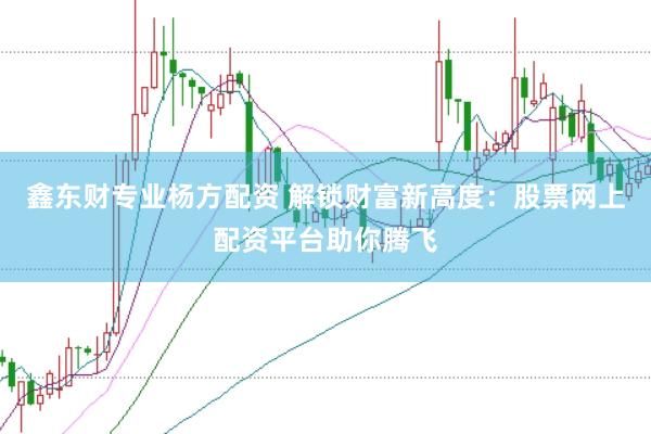鑫东财专业杨方配资 解锁财富新高度：股票网上配资平台助你腾飞