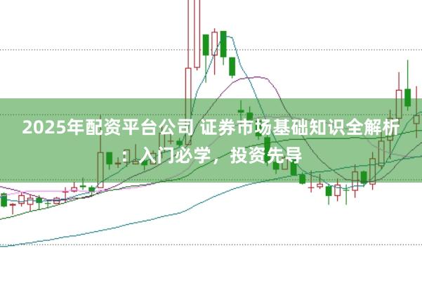 2025年配资平台公司 证券市场基础知识全解析：入门必学，投资先导
