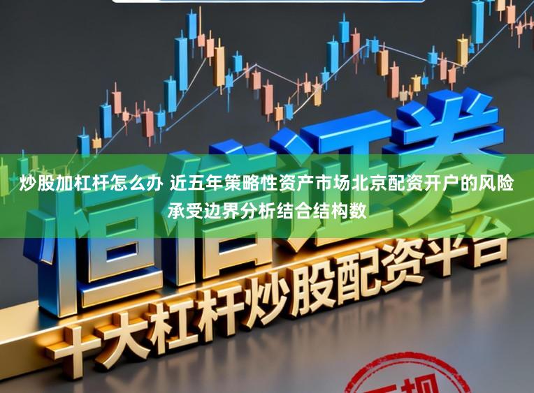 炒股加杠杆怎么办 近五年策略性资产市场北京配资开户的风险承受边界分析结合结构数