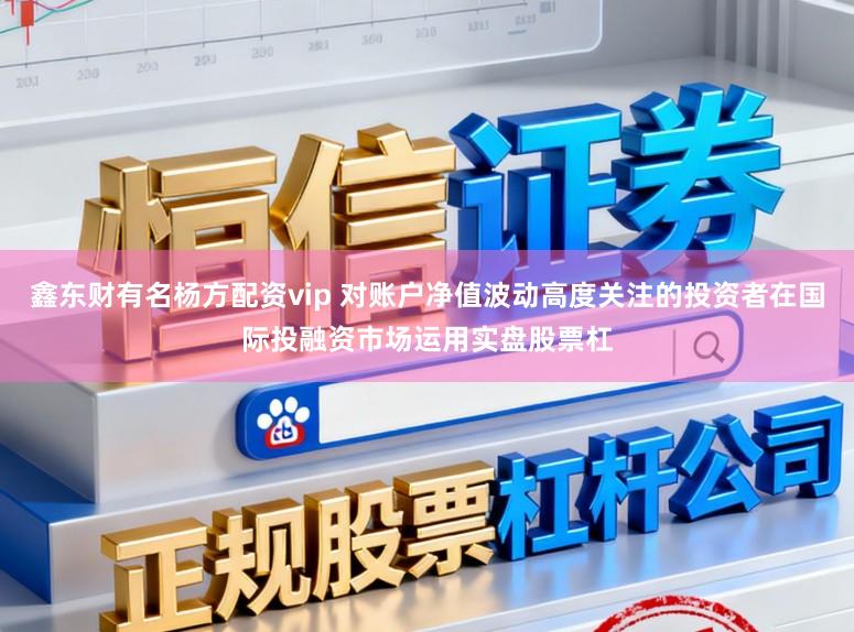 鑫东财有名杨方配资vip 对账户净值波动高度关注的投资者在国际投融资市场运用实盘股票杠